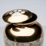 Precious Paw - Image 5