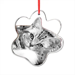3D Crystal Ornament - Paw